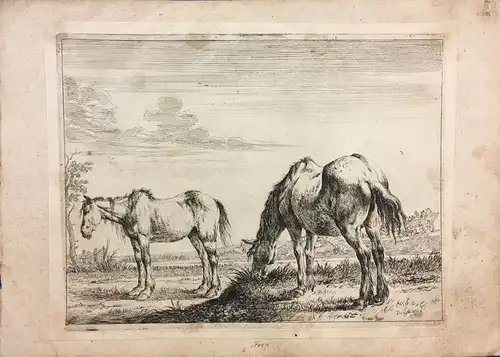 Stoop, Dirck (ca 1616 - 1686),, Das weidende Pferd fast vom Rücken gesehen und ein Pferd im Profil. Radierung