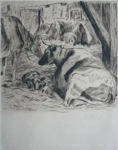 Aschenborn, Hans (1888 Kiel - 1931 Kiel),, Rinder mit Kalb in einem Stall. Radierung