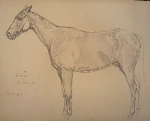 Koch, Ludwig (1866 -  Wien - 1934),, Pferdeportrait. Bleistift