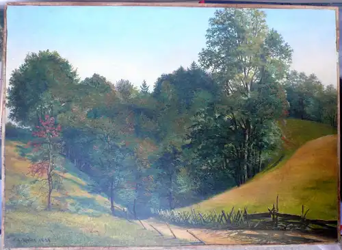 Köster, Carl G. (1812 Hamburg - 1893 Düsseldorf),, Waldlandschaft in Tirol im Herbst. Öl auf Leinwand, doubliert