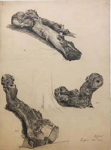 Goos, Berend (1815 - Hamburg - 1885),, Studienblatt mit knorrigen Baumstämmen. Bleistiftzeichnung auf Velin