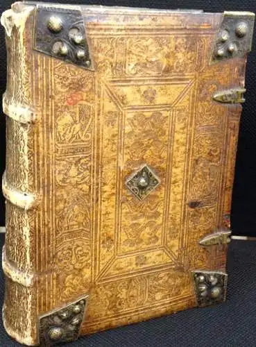 Biblia sacrosancta veteris, et novi instrumenti, iuxta vulgatam & consuetam aeditionem, tum ad Hebraicam veritatem, tum ad vetustissimorum simul & emendatissimorum voluminum fidem, post omneis omnium aeditiones, studiosissime castigata, simul & recognita,