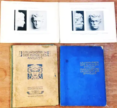 Heller, Hermann Vincenz: Grundformen der Mimik des Antlitzes. In freiem Anschlusse an Pideritis >Mimik und Physiognomik<  mit besonderer Berücksichtigung der bildenden Kunst. Modelliert und erläutert. Mit 53 Tafeln [komplett]. 