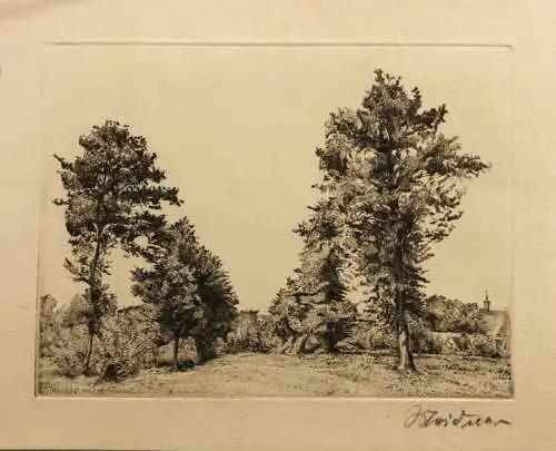 Meidner, Ludwig (1884 in Bernstadt an der Weide (Schlesien) - 1966 Darmstadt),, Baumgruppe (Bernstadt in Schlesien). Original-Radierung