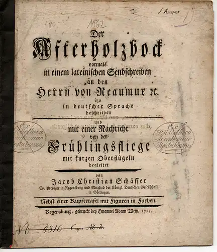 Schaeffer, Jacob Christian: Der Afterholzbock: vormals in einem lateinischen Sendschreiben an den Herrn von Reaumur &c. itzo in deutscher Sprache beschrieben. Und mit einer Nachricht...