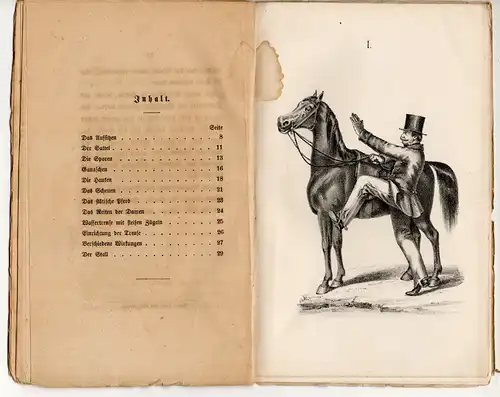 Clawiter: Praktische Regeln beim Reiten. 