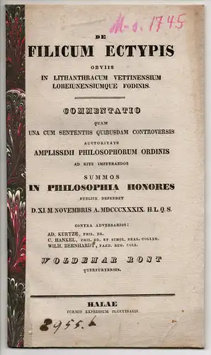 Rost, Woldemar: aus Querfurt: De filicum ectypis obviis in Lithanthracum Vettinensium Lobeiunensiumque fodinis. Dissertation. 
