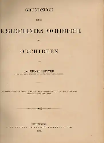 Pfitzer, Ernst Hugo Heinrich: Grundzüge einer vergleichenden Morphologie der Orchideen. 