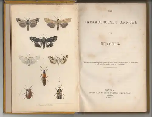 The Entomologist's Annual for MDCCCLX. 