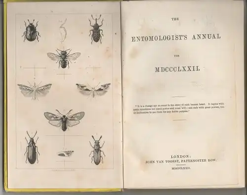 The Entomologist's Annual for MDCCCLXXII. 