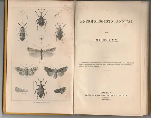 The Entomologist's Annual for MDCCCLXX. 