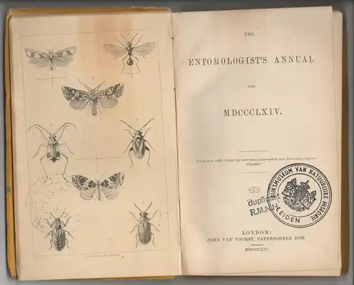 The Entomologist's Annual for MDCCCLXIV. 