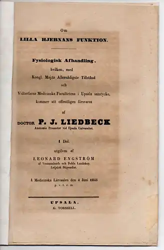 Liedbeck, Petrus Jac: Om Lilla hjernans funktion. 