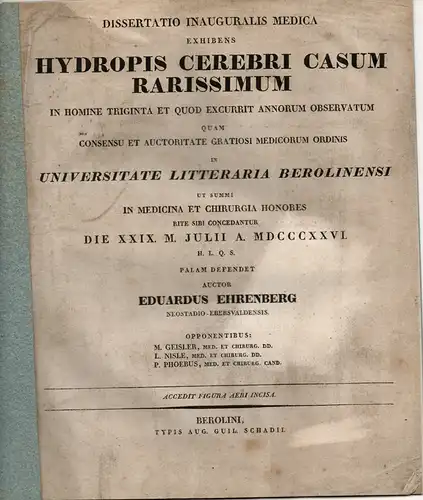 Ehrenberg, Eduard: Hydropis Cerebri Casum Rarissimum In Homine Triginta et quod excurrit annorum observatum. Dissertation. 