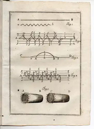 Ziegler, Johann Jakob: Specimen Inaugurale Medicum De Mechanismo Contractionis Musculorum (Über den Mechanismus der Muskelkontraktion). 