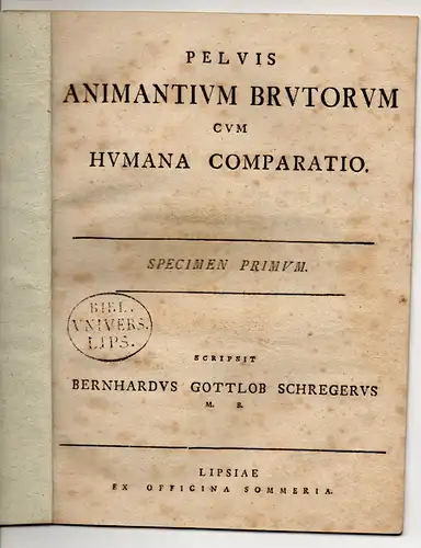 Schreger, Bernhard Nathanael Gottlob: Pelvis Animantium Brutorum Cum Humana Comparatio. Specimen primum. 
