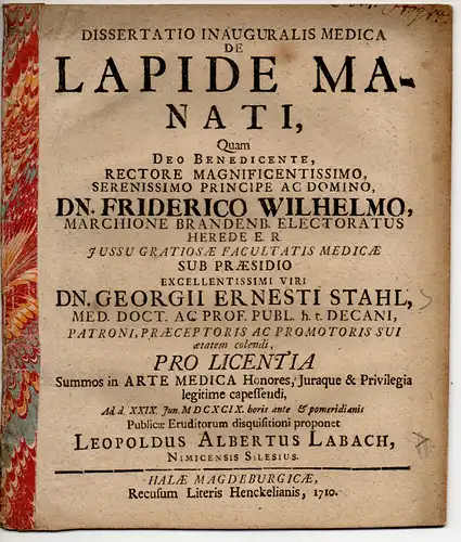 Labach, Leopold Albert: aus Nimptsch: Medizinische Inaugural-Dissertation. De lapide manati. 