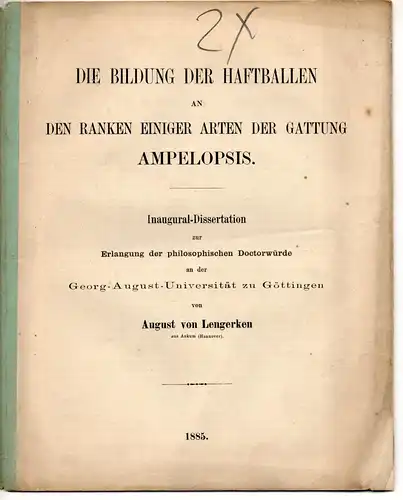 Lengerken, August von: Die Bildung der Haftballen an den Ranken einiger Arten der Gattung Ampelopsis. Dissertation. 