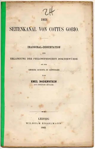 Bodenstein, Emil: Der Seitenkanal von Cottus gobio. Dissertation. Sonderdruck aus: Zeitschrift für wissenschaftliche Zoologie 37. 