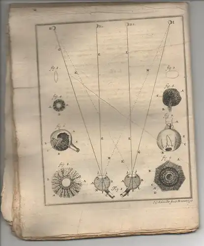 Leincker, Johann Siegmund: aus Nürnberg: Medizinische Dissertation. De tunica oculi choroidea. 