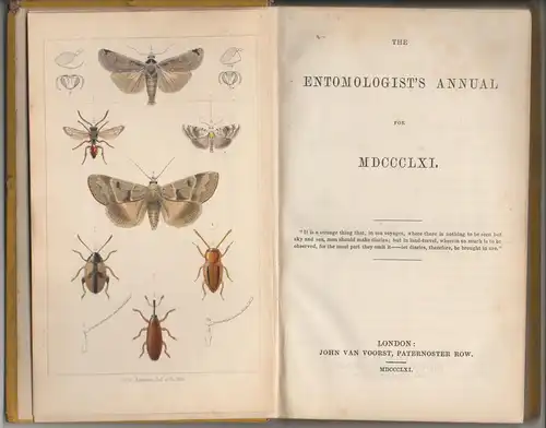 The Entomologist's Annual for MDCCCLXI. 