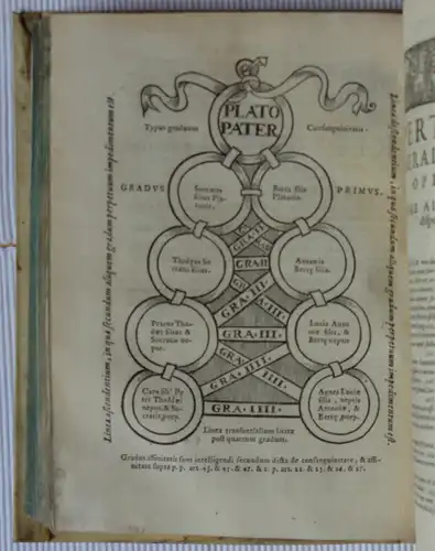 Piccaja, Giambaptista [Hrsg.]: Rev. Patris Fr. Alphonsi a Vera Cruce Hispani Ordinis Eremitarum S. Augustini. Et in primaria cathedra mexican & universitatis S. Theologia Doctoris. Speculum coniugiorum, cum appendice. Nunc primum in Italia Typis excusum. 