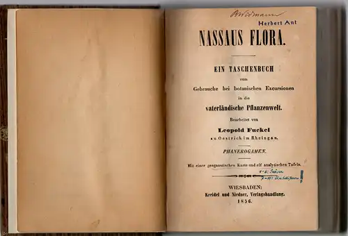 Fuckel, Leopold: Nassaus Flora : ein Taschenbuch zum Gebrauche bei botanischen Excursionen in der vaterländische Pflanzenwelt ; Phanerogamen. 