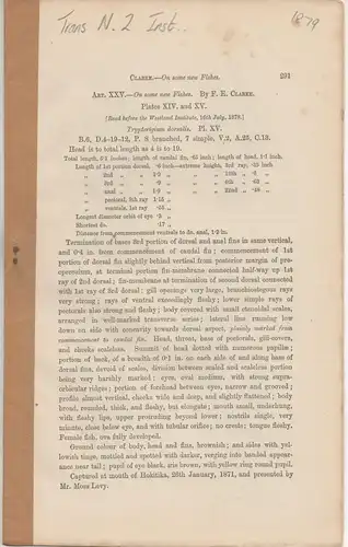 Clarke, F. E.; Colenso, W: On some new Fishes + Notes on the Genus Callorhynchus, with a Description of an undescribed New Zealand Species. Sonderdruck aus: Transactions and Proceedings of the Royal Society of New Zealand 11, 291-300. 