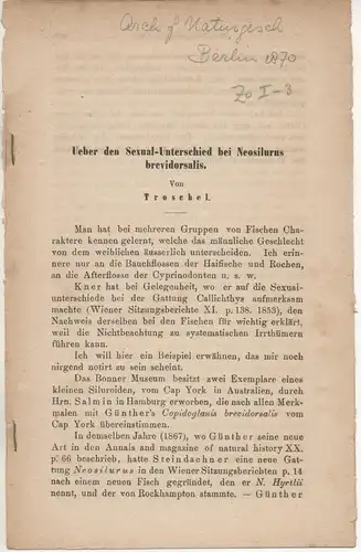 Troschel: Ueber den Sexual-Unterschied bei Neosilurus breidorsalis. Sonderdruck aus: Archiv für Naturgeschichte 36, 276-280. 