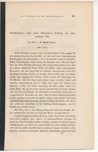 Kner, Rudolf: Psalidostoma, eine neue Characinen-Gattung aus dem weissen Nil. Sonderdruck aus: Sitzungsberichte der Kaiserlichen Akademie der Wissenschaften S. 99-102. 