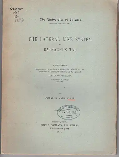 Clapp, Cornelia Maria: The lateral line system of batrachus tau. Dissertation. Sonderdruck aus: Journal of morphology 15, S. 223-264. 