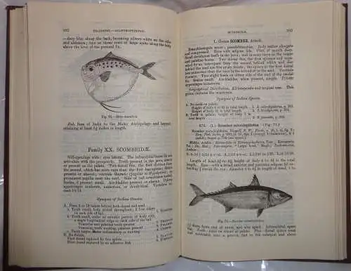 Day, Francis: The Fauna of British India, including Ceylon and Burma, Fishes vol. 1 + 2. 