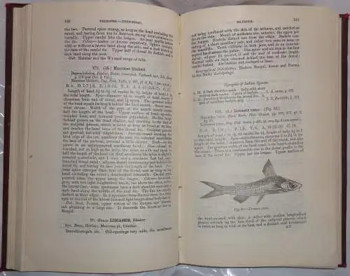 Day, Francis: The Fauna of British India, including Ceylon and Burma, Fishes vol. 1 + 2. 