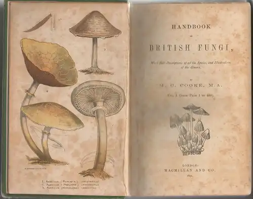 Cooke, Mordecai C: Handbook of British fungi : with full descriptions of all species, and illustrations of the genera 1 + 2. 