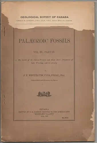 Whiteaves, Joseph Frederick: Palæozoic fossils Vol. 3, Pt. 3: The fossils of the Galena-Trenton and Black River formations of Lake Winnipeg and its vicinity. 