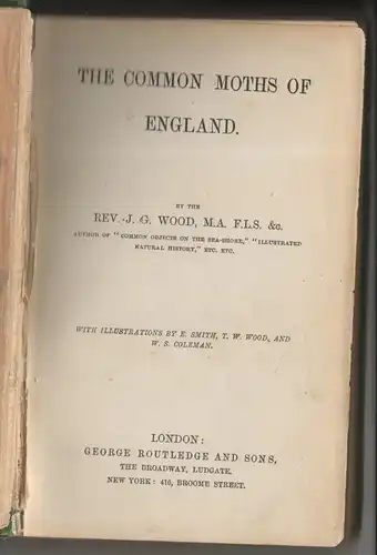 Wood, John George: The common moths of England. 