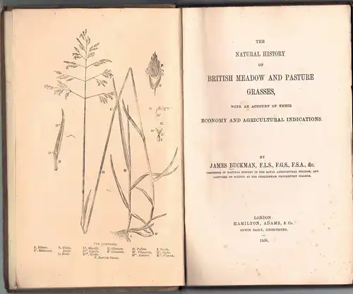Buckman, James: The natural history of British meadow and pasture grasses, with an account of their economy and agricultural indications. 