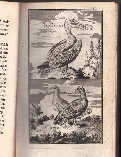 Ellis, Henry: Reise nach Hudsons Meerbusen : welche von zweyen englischen Schiffen, der Dobbs-Galley und California, in den Jahren 1746 und 1747 wegen Entdeckung einer nordwestlichen Durchfahrt in die Sued-See verrichtet worden ; nebst einer richtigen Abz