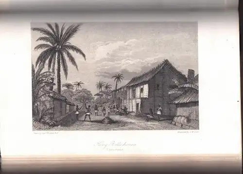 Allen, William; Thomson, Thomas Richard Heywood: A Narrative of the expedition sent by her Majesty's Government to the river Niger : under the command of Capitain H. D. Trotter, R.N., vol. 1+2 (complete). 