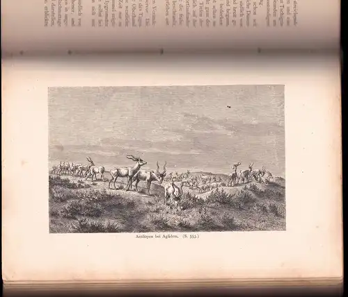 Nachtigal, Gustav: Sahara und Sudan - Ergebnisse sechsjähriger Reisen in Afrika, 1-3 (komplett). 