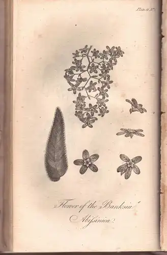 Bruce, James: Select specimens of natural history collected in travels to discover the source of the Nile in Egypt, Arabia, Abyssinia and Nubia. 