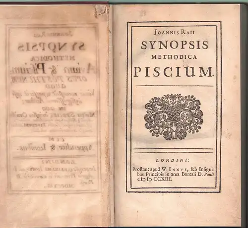 Ray, John: Synopsis Methodica Synopsis Piscium. Methodica Avium & Piscium; Opus Posthumum, hier nur Bd. 2 (von 2). 