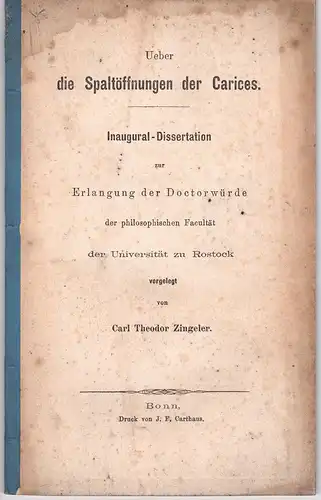 Zingeler, Carl Theodor: Ueber die Spaltöffnungen der Carices. Dissertation Rostock. 