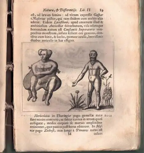 Liceti, Fortunio: Fortunius Licetus De monstris, ex recensione G. Blasii. Editio novissima, iconibus illustrata. 