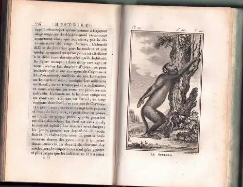 Buffon, Georges Louis Le Clerc de: Histoire naturelle, générale et particulière, vol. 35+36: Des singes (2 Bände). 