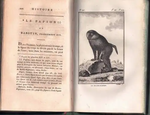 Buffon, Georges Louis Le Clerc de: Histoire naturelle, générale et particulière, vol. 35+36: Des singes (2 Bände). 