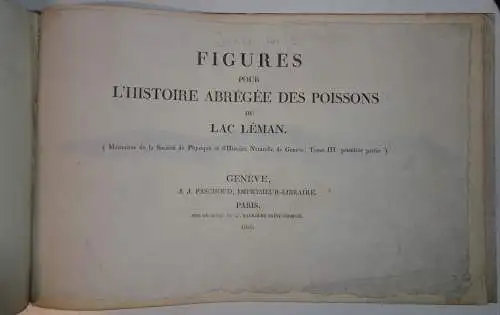 Jurine, Louis: Histoire abrégée des poissons du Lac Léman. 