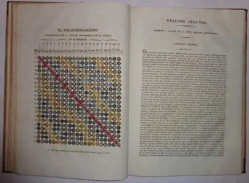 Virués y Spínola, José Joaquín de: La Geneuphonía ó Generacion de la Bien-sonancia Música, dedicada á S.M. La Reina nuestra Señora Doña María Cristina de Borbon (Q.D.G.). 