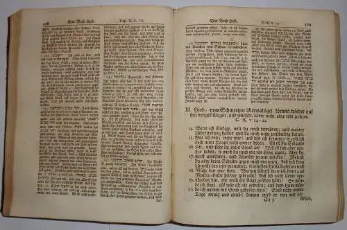 Hoffmann, Johann Adolf: Johann Adolf Hoffmanns Neue Erklärung des Buchs Hiob : darin das Buch selbst aus der Grund Sprache mit dem darin liegenden Nachdruck.. 