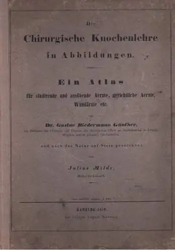 Günther, Gustav Biedermann: Die chirurgische Knochenlehre in Abbildungen Ein Atlas für studierende u. ausübende Ärzte, gerichtliche Ärzte, Wundärzte, etc. Neue wohlfeile Ausgabe. 